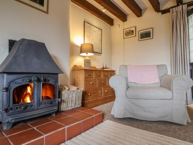 A living room with a wood burning stove armchair and wooden dresser at Garden Cottage in Upottery