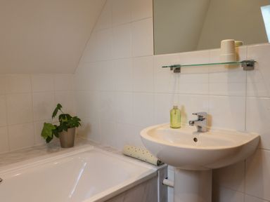 A bathroom with a sink, a bathtub, a potted plant, a soap dispenser, and a glass shelf at Garden Cottage in Upottery