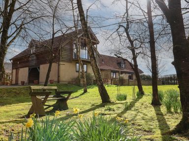 A garden with trees a wooden bench and yellow flowers near a house at Garden Cottage in Upottery