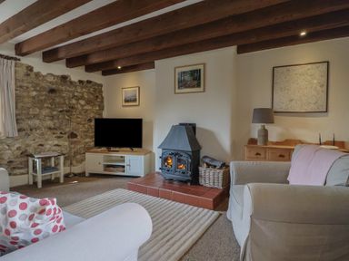 A living room with a wood burning stove and a television on a cabinet at Garden Cottage in Upottery