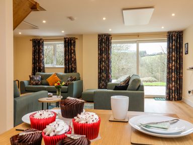 A living room with green sofas and patterned curtains with cupcakes and a cup on a wooden table at Hideaway in Great Torrington