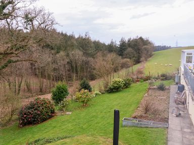 A garden with shrubs and grass next to a patio and a field with sheep at Hideaway in Great Torrington