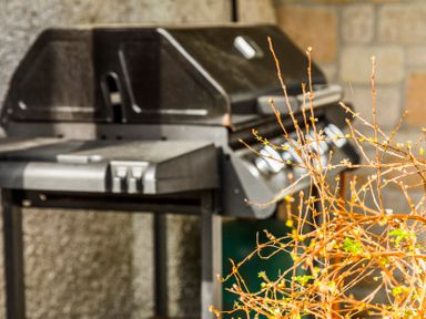 An outdoor barbecue grill with branches of a plant in the foreground at Valley Lodge 37 in St Ann's Chapel Cornwall