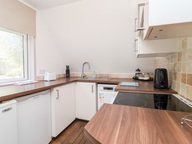 A kitchen with a sink and stove at Valley Lodge 37, St Ann's Chapel, Cornwall