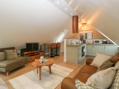 An open-plan living area with sofas a wooden coffee table a TV on a stand and a kitchen with light green cabinets at Pheasants Rise Apartment in Ross-On-Wye