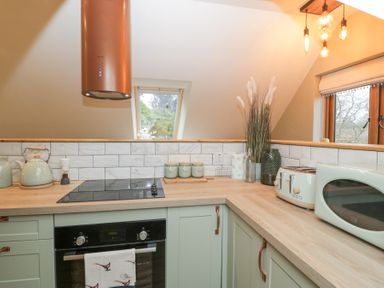 A kitchen with light green cabinets a black oven an electric stove a kettle toaster microwave and a window at Pheasants Rise Apartment in Ross-On-Wye