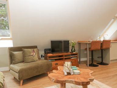 A living area with an olive green sofa and bird cushion a wooden TV stand with a flat screen TV a wooden coffee table with candles and coasters and a dining counter with two brown chairs at Pheasants Rise Apartment in Ross-On-Wye