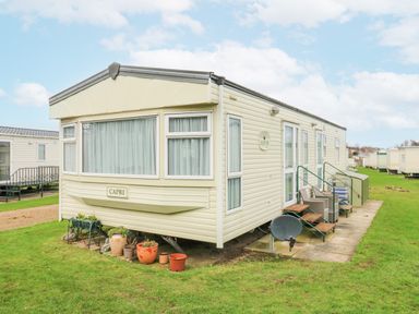 A beige caravan with steps and potted plants on a grass lawn at 120 Caravan in Hemsby