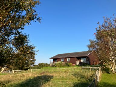 A wooden lodge with a porch surrounded by grass and trees at Creag Mhor Lodge in Back of Keppoch near Arisaig