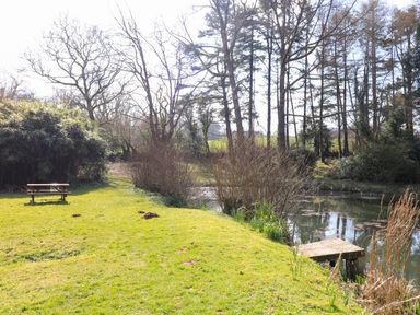 A grassy area with a wooden bench near a small river and trees at Millers Loft in Modbury