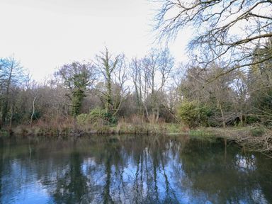 A water body with tree reflections and bare trees on the shore at Millers Loft in Modbury