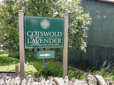 A green sign for Cotswold Lavender growers and distillers with a direction arrow next to a tree and metal building at 2 Summers Way in Moreton-In-Marsh