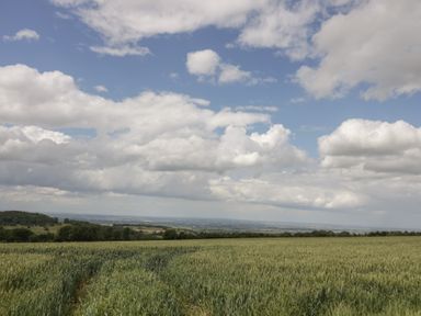 A farmland with crops and a cloudy sky at 2 Summers Way in Moreton-In-Marsh