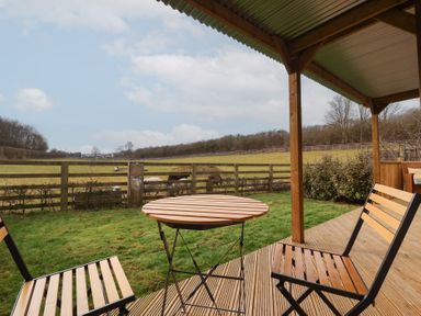 A wooden table and two chairs on a covered deck overlooking a grassy field with a wooden fence and sheep at Beech Tree Cabin in Goodmanham near Market Weighton