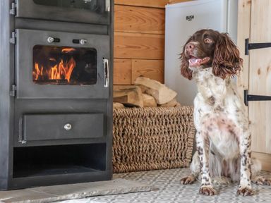 A dog sitting on a patterned floor near a wood burning stove and a basket of firewood at Beech Tree Cabin in Goodmanham near Market Weighton