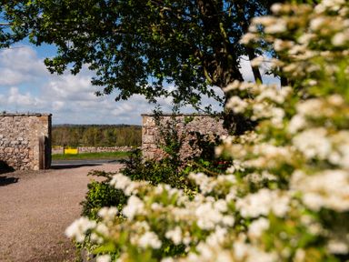 An outdoor view of a stone wall and flowers at Aubretia Trail in Akeld near Wooler