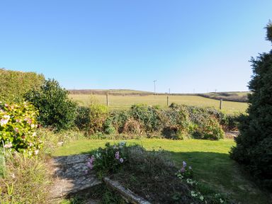 A garden with grass and shrubs overlooking fields with telephone poles near Tintagel
