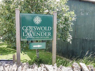 A green sign for Cotswold Lavender growers and distillers beside a tree and corrugated metal building at Casa De Rhu in Evesham