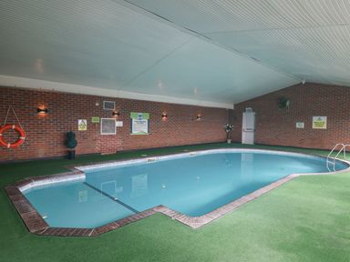 An indoor swimming pool with a brick wall and green artificial grass flooring at 21 Bay View in Maenygroes near New Quay Ceredigion