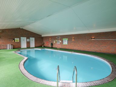 An indoor swimming pool with metal ladder green flooring and brick walls at 21 Bay View in Maenygroes near New Quay Ceredigion