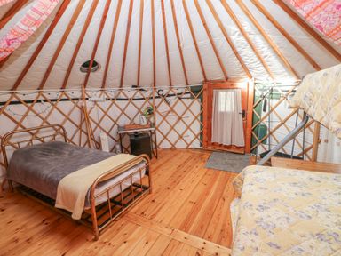 A yurt interior with wooden floor a single bed a bunk bed small table and a wooden door at Blaidd Bach in Carmarthen