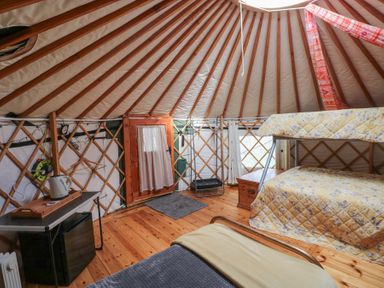 Interior of a yurt with wooden floor bunk beds a small table with electric kettle and mini fridge at Blaidd Bach in Carmarthen