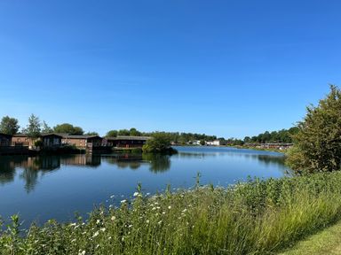 A lake with houses along the shore and wildflowers and grass in the foreground at Lakeside 18 in Carnforth
