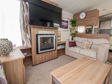 A living room with a sofa cushions fireplace tv and a wooden coffee table at Hazel Park 11 HP11 in Rhyl