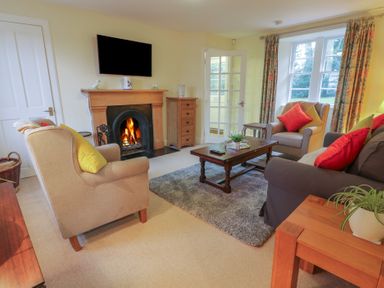 A living room with a fireplace a television armchairs a sofa coffee table and a window with curtains at Eagle Glen Cottage in Kettins near Coupar Angus