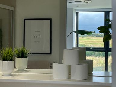 A bathroom countertop with plants and stacked toilet paper rolls and a framed print on the wall at The Links 40 An apartment with spectacular sea views Porthcawl