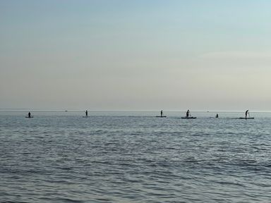Six people paddleboarding on a calm sea at The Links 40 An apartment with spectacular sea views in Porthcawl