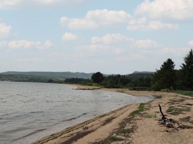 A beach with water and trees at Shore Lodge in Brodick