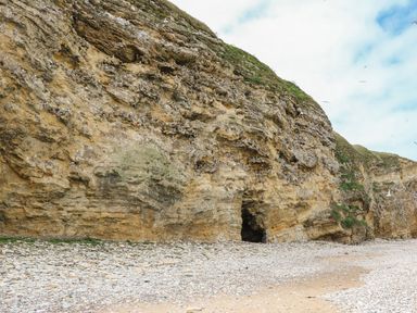 A rocky cliff with a cave and birds on a beach at The Beach Apartment in South Shields