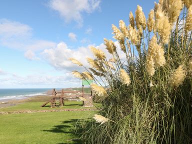 A grassy outdoor area with tall ornamental grass and wooden structures near a coastline at Atlantic Escape in Widemouth Bay