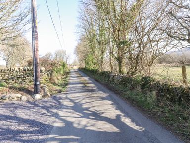 A narrow country road lined with stone walls and leafless trees with a telephone pole on the left side at Cwt Mochyn in Llanberis
