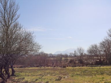 An open field with grass and leafless trees under a clear sky at Cwt Mochyn in Llanberis