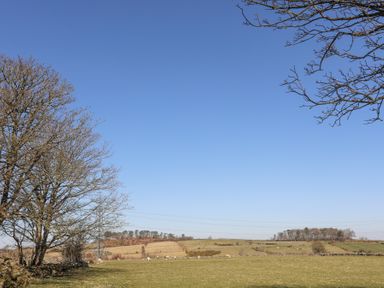 A rural landscape with trees grazing sheep and fields at Cwt Mochyn in Llanberis