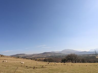 A pasture with sheep grazing and hills in the background at Cwt Mochyn in Llanberis