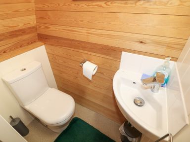 A small bathroom with a toilet sink wooden panel walls and a green rug at Chantelles in Holbeach