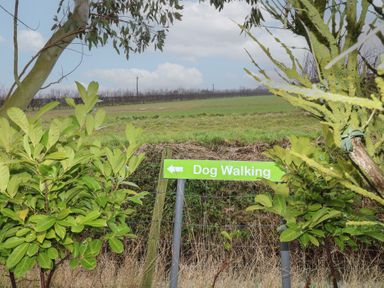A green dog walking sign pointing left near a field with trees in the background at Chantelles in Holbeach