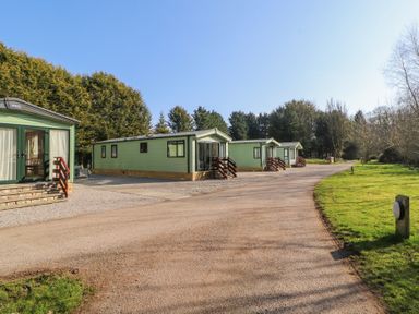 A row of green mobile homes with small stairs in a clearing surrounded by trees at Lodge 1 in Silverdale