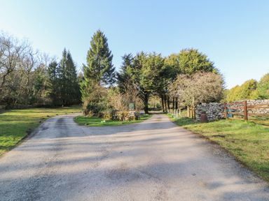 A fork in a paved road with trees and stone walls on either side at Lodge 1 in Silverdale