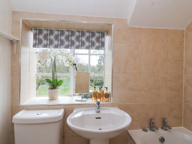A bathroom with a toilet sink and bathtub under a window with a potted plant soap bottles and a small mirror at Little Lemhill Farm Cottage in Lechlade-On-Thames