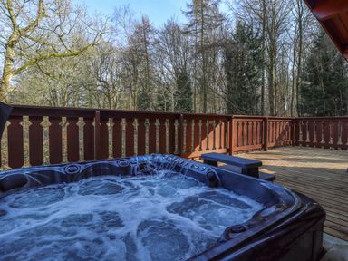 An outdoor wooden deck with a hot tub and trees in the background at Forest Lodge in Kenwick Woods