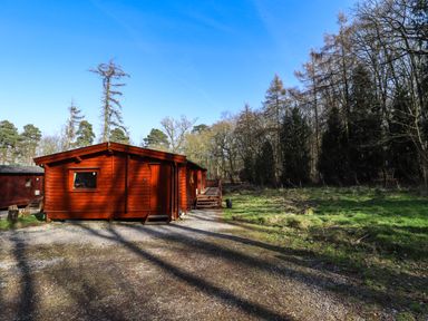 A wooden cabin in a forest clearing with trees and grass at Forest Lodge in Kenwick Woods