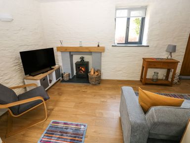 A living room with a TV on a stand a fireplace with logs a gray armchair a small wooden table with a lamp and a window at 3 The Barn in Haverfordwest