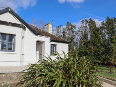 Exterior side view of a white building with two windows and green plants in front at Heatherbell House in Ballyhoura near Buttevant
