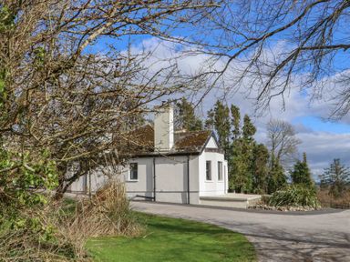 A small white house with a chimney surrounded by bare trees and greenery under a blue sky at Heatherbell House Ballyhoura near Buttevant