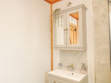 A bathroom sink with a cabinet mirror and soap dispenser at Alpaca Lodge in Barkston