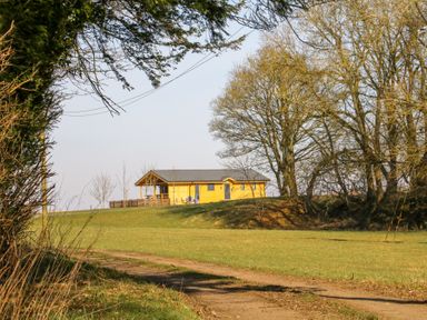 A dirt path leading to a yellow house on a grassy hill surrounded by leafless trees at Alpaca Lodge in Barkston